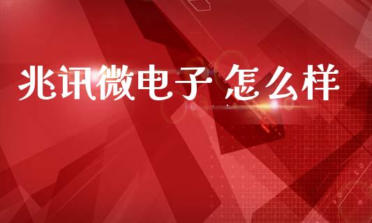 兆讯微电子 怎么样_https://wap.jnlaobingbanjia.com_证券公告_第1张