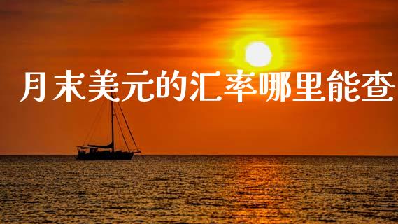 月末美元的汇率哪里能查_https://wap.jnlaobingbanjia.com_基金分析_第1张
