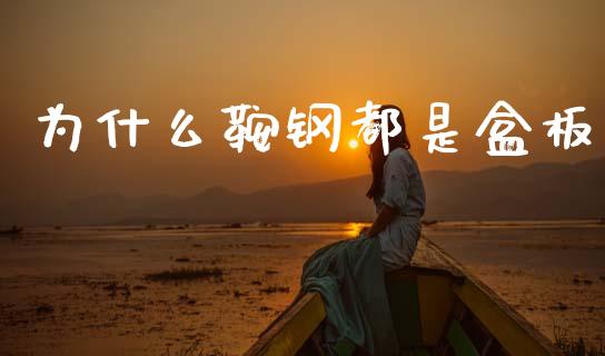 为什么鞍钢都是盒板_https://wap.jnlaobingbanjia.com_证券公告_第1张