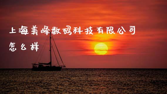 上海美峰数码科技有限公司怎么样_https://wap.jnlaobingbanjia.com_股市行情_第1张