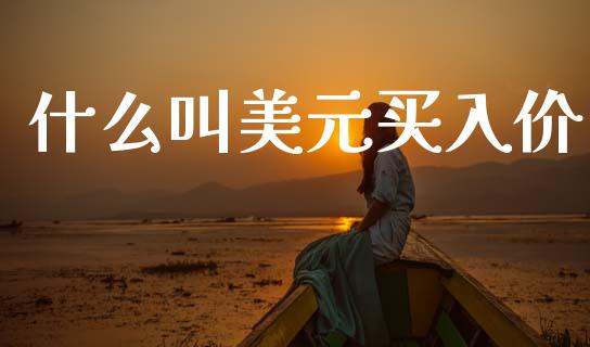 什么叫美元买入价_https://wap.jnlaobingbanjia.com_金融理财_第1张