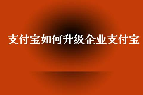 支付宝如何升级企业支付宝_https://wap.jnlaobingbanjia.com_证券公告_第1张