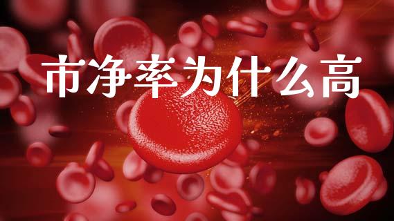 市净率为什么高_https://wap.jnlaobingbanjia.com_财务管理_第1张