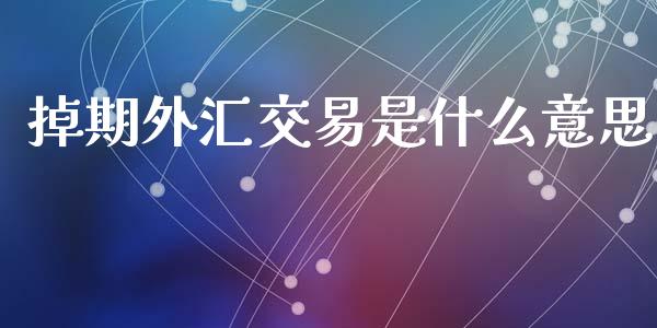 掉期外汇交易是什么意思_https://wap.jnlaobingbanjia.com_财务管理_第1张