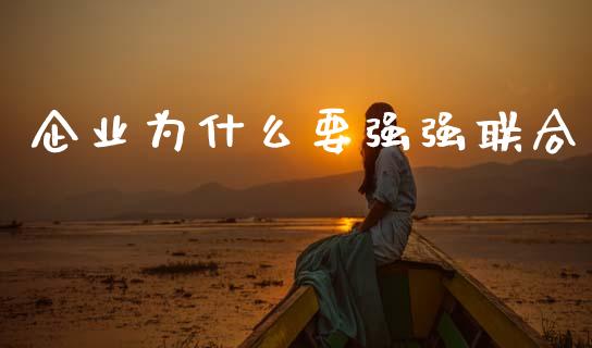 企业为什么要强强联合_https://wap.jnlaobingbanjia.com_基金分析_第1张