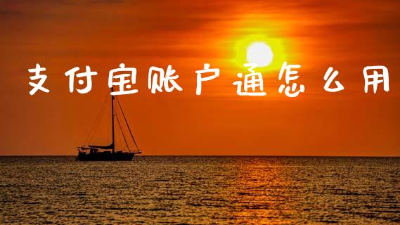 支付宝账户通怎么用_https://wap.jnlaobingbanjia.com_证券公告_第1张
