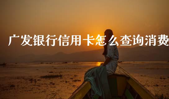 广发银行信用卡怎么查询消费_https://wap.jnlaobingbanjia.com_财务管理_第1张
