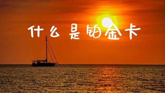 什么是铂金卡_https://wap.jnlaobingbanjia.com_证券公告_第1张