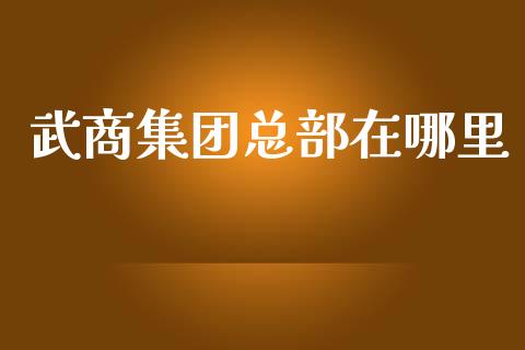 武商集团总部在哪里_https://wap.jnlaobingbanjia.com_基金分析_第1张