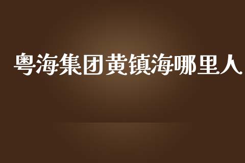 粤海集团黄镇海哪里人_https://wap.jnlaobingbanjia.com_财经资讯_第1张
