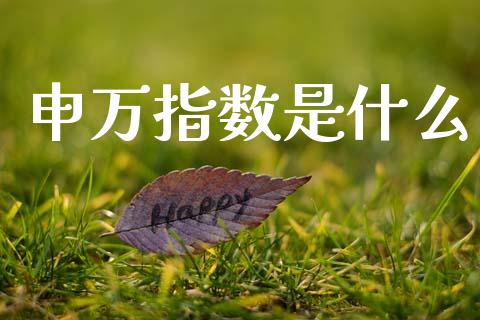 申万指数是什么_https://wap.jnlaobingbanjia.com_金融理财_第1张