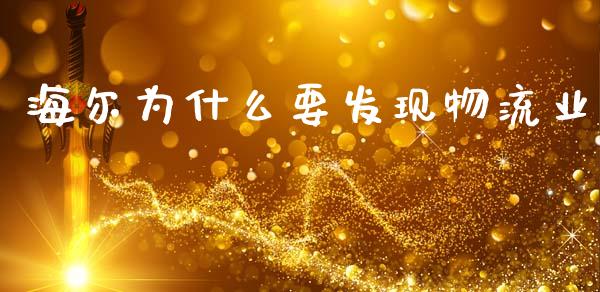 海尔为什么要发现物流业_https://wap.jnlaobingbanjia.com_证券公告_第1张