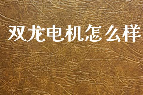 双龙电机怎么样_https://wap.jnlaobingbanjia.com_基金分析_第1张