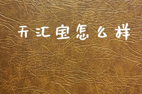 天汇宝怎么样_https://wap.jnlaobingbanjia.com_财务管理_第1张