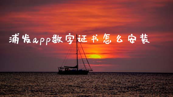 浦发app数字证书怎么安装_https://wap.jnlaobingbanjia.com_证券公告_第1张