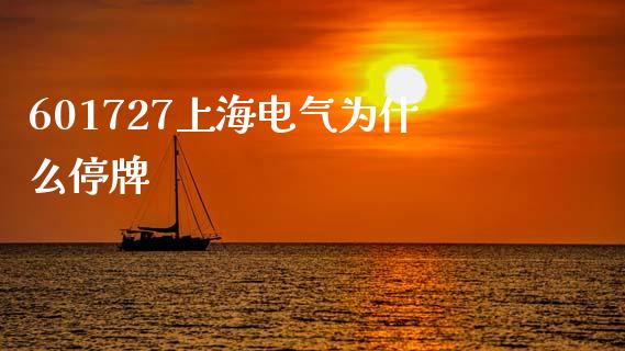 601727上海电气为什么停牌_https://wap.jnlaobingbanjia.com_证券公告_第1张