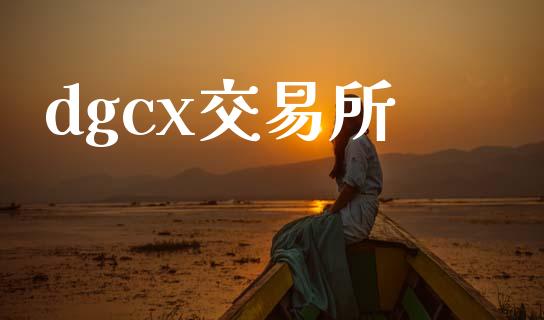 dgcx交易所_https://wap.jnlaobingbanjia.com_股市行情_第1张