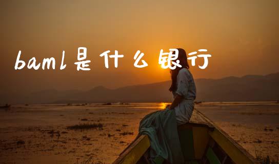 baml是什么银行_https://wap.jnlaobingbanjia.com_财经资讯_第1张