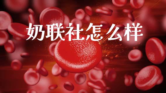 奶联社怎么样_https://wap.jnlaobingbanjia.com_财经资讯_第1张