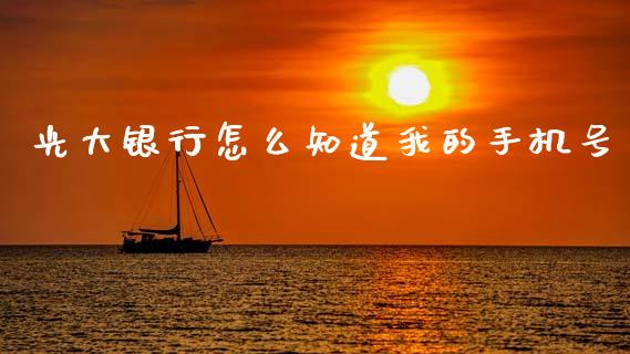 光大银行怎么知道我的手机号_https://wap.jnlaobingbanjia.com_证券公告_第1张