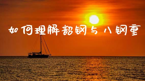 如何理解韶钢与八钢重_https://wap.jnlaobingbanjia.com_证券公告_第1张