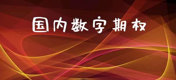 国内数字期权_https://wap.jnlaobingbanjia.com_证券公告_第1张