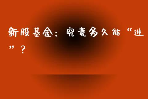新股基金：究竟多久能“进”？_https://wap.jnlaobingbanjia.com_财经资讯_第1张