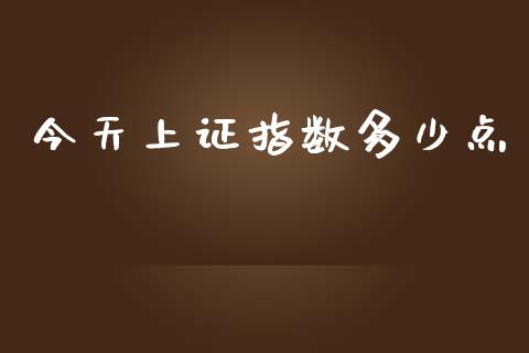 今天上证指数多少点_https://wap.jnlaobingbanjia.com_证券公告_第1张
