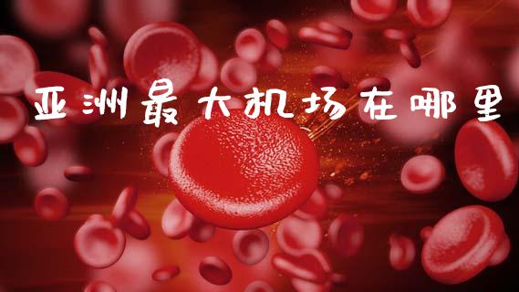 亚洲最大机场在哪里_https://wap.jnlaobingbanjia.com_证券公告_第1张