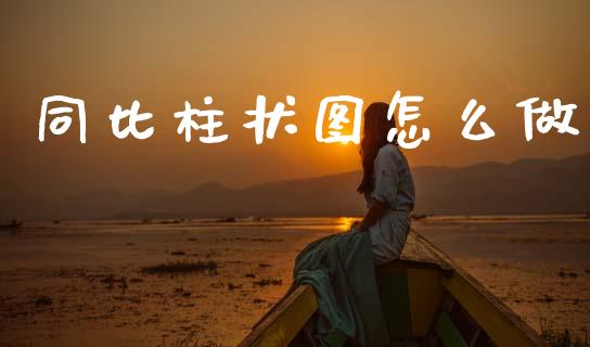 同比柱状图怎么做_https://wap.jnlaobingbanjia.com_财务管理_第1张