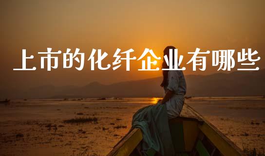 上市的化纤企业有哪些_https://wap.jnlaobingbanjia.com_财务管理_第1张