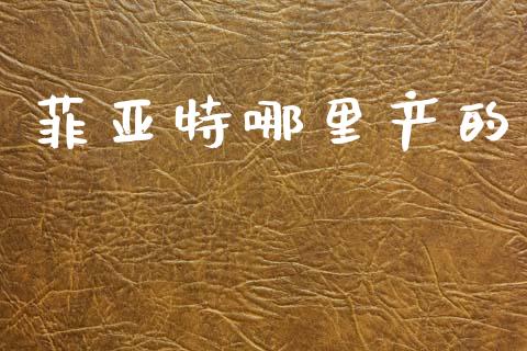 菲亚特哪里产的_https://wap.jnlaobingbanjia.com_财务管理_第1张