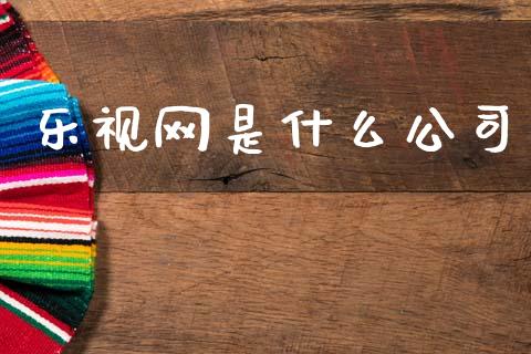 乐视网是什么公司_https://wap.jnlaobingbanjia.com_基金分析_第1张