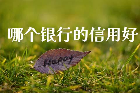 哪个银行的信用好_https://wap.jnlaobingbanjia.com_股市行情_第1张