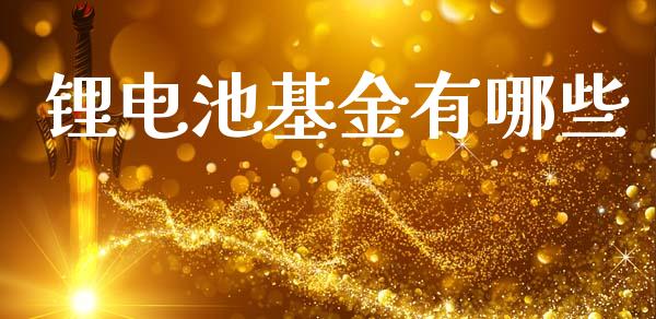 锂电池基金有哪些_https://wap.jnlaobingbanjia.com_股市行情_第1张