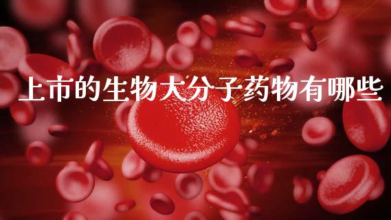 上市的生物大分子药物有哪些_https://wap.jnlaobingbanjia.com_财务管理_第1张