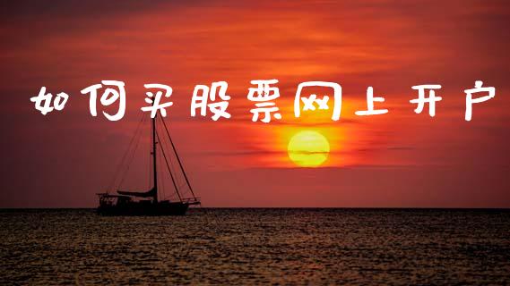 如何买股票网上开户_https://wap.jnlaobingbanjia.com_股市行情_第1张