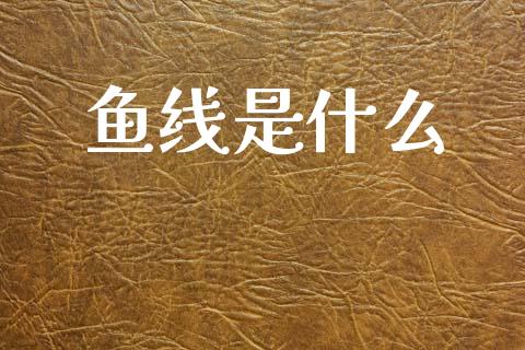鱼线是什么_https://wap.jnlaobingbanjia.com_财经资讯_第1张