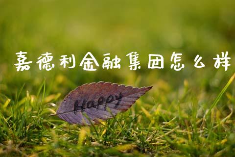 嘉德利金融集团怎么样_https://wap.jnlaobingbanjia.com_财经资讯_第1张