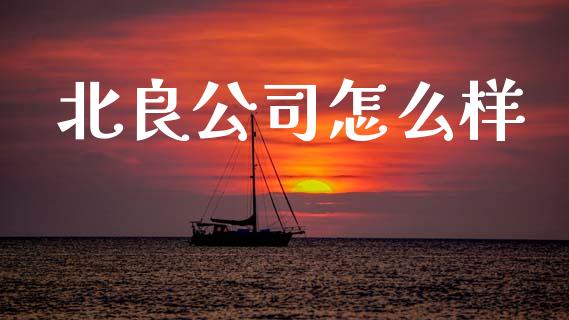 北良公司怎么样_https://wap.jnlaobingbanjia.com_证券公告_第1张