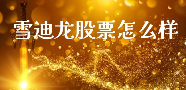 雪迪龙股票怎么样_https://wap.jnlaobingbanjia.com_证券公告_第1张