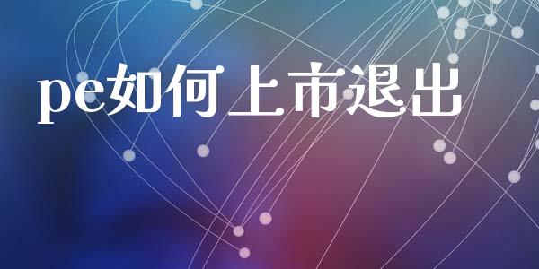 pe如何上市退出_https://wap.jnlaobingbanjia.com_股市行情_第1张