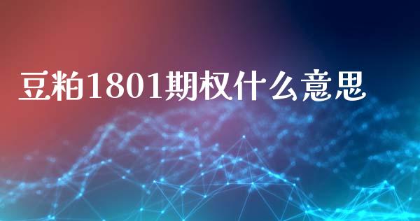 豆粕1801期权什么意思_https://wap.jnlaobingbanjia.com_证券公告_第1张