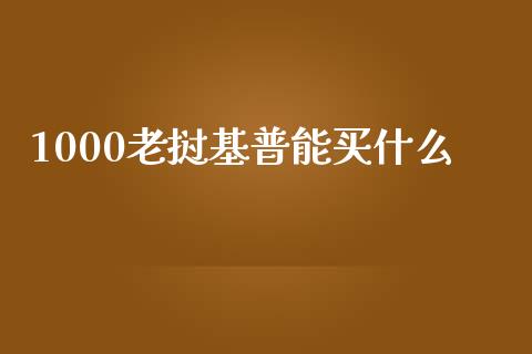1000老挝基普能买什么_https://wap.jnlaobingbanjia.com_基金分析_第1张