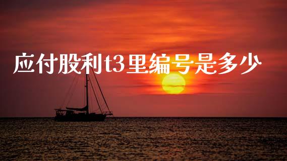 应付股利t3里编号是多少_https://wap.jnlaobingbanjia.com_财务管理_第1张
