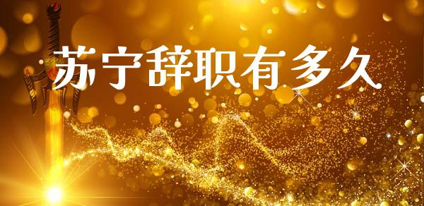苏宁辞职有多久_https://wap.jnlaobingbanjia.com_财务管理_第1张