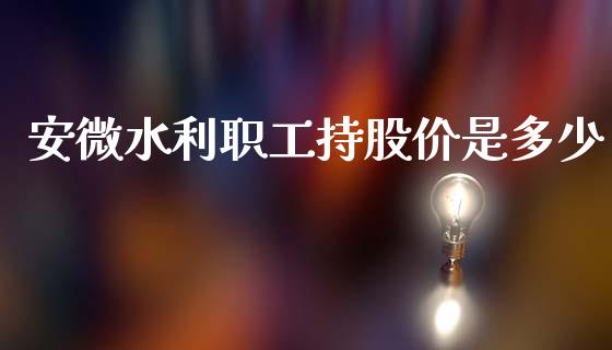 安微水利职工持股价是多少_https://wap.jnlaobingbanjia.com_财务管理_第1张