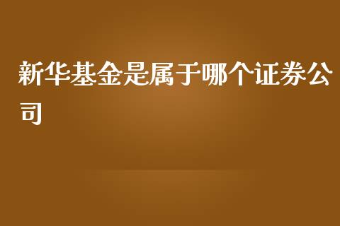 新华基金是属于哪个证券公司_https://wap.jnlaobingbanjia.com_财务管理_第1张