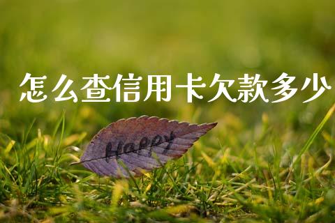 怎么查信用卡欠款多少_https://wap.jnlaobingbanjia.com_财经资讯_第1张