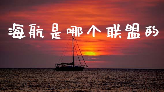 海航是哪个联盟的_https://wap.jnlaobingbanjia.com_财务管理_第1张